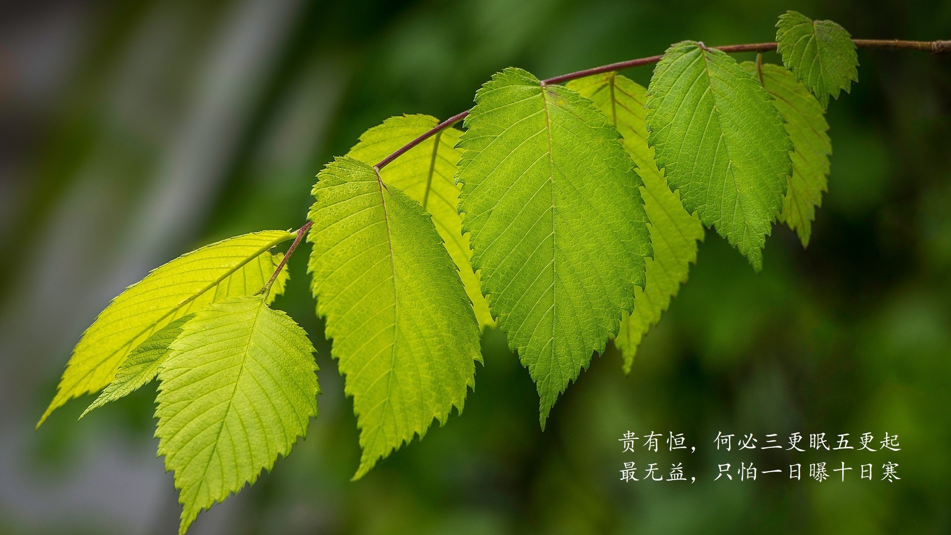 上海目前有3支中超球队：上海绿地申花队(原上海申花队)上海上港队(原上海东亚队)上海申鑫队 上海目前有3支中超球队：上海绿地申花队(原上海申花队)上海上港队(