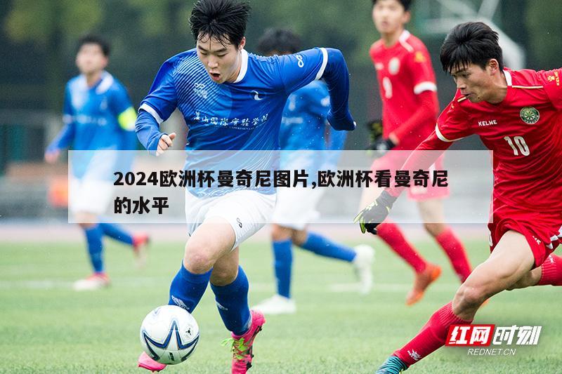 2024欧洲杯曼奇尼图片,欧洲杯看曼奇尼的水平