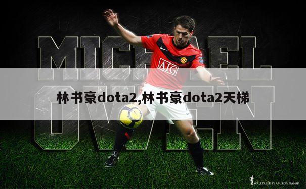 林书豪dota2,林书豪dota2天梯