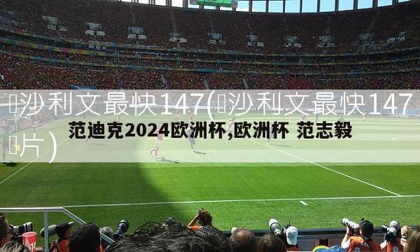 范迪克2024欧洲杯,欧洲杯 范志毅