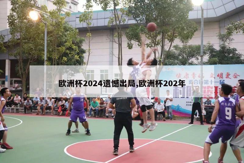 欧洲杯2024遗憾出局,欧洲杯202年