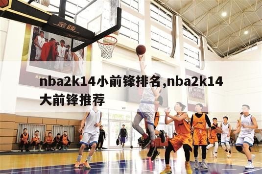 nba2k14小前锋排名,nba2k14大前锋推荐