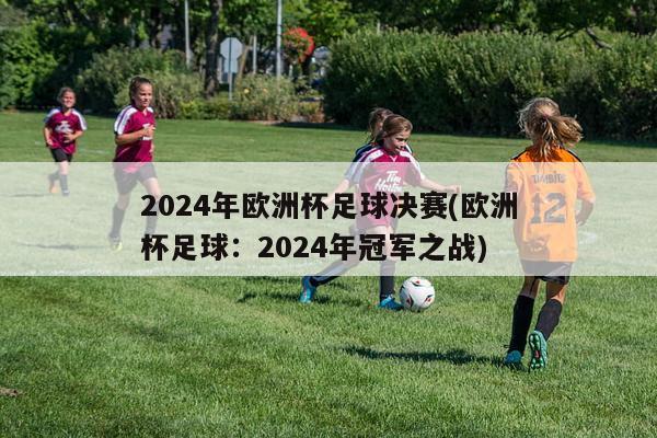 2024年欧洲杯足球决赛(欧洲杯足球：2024年冠军之战)