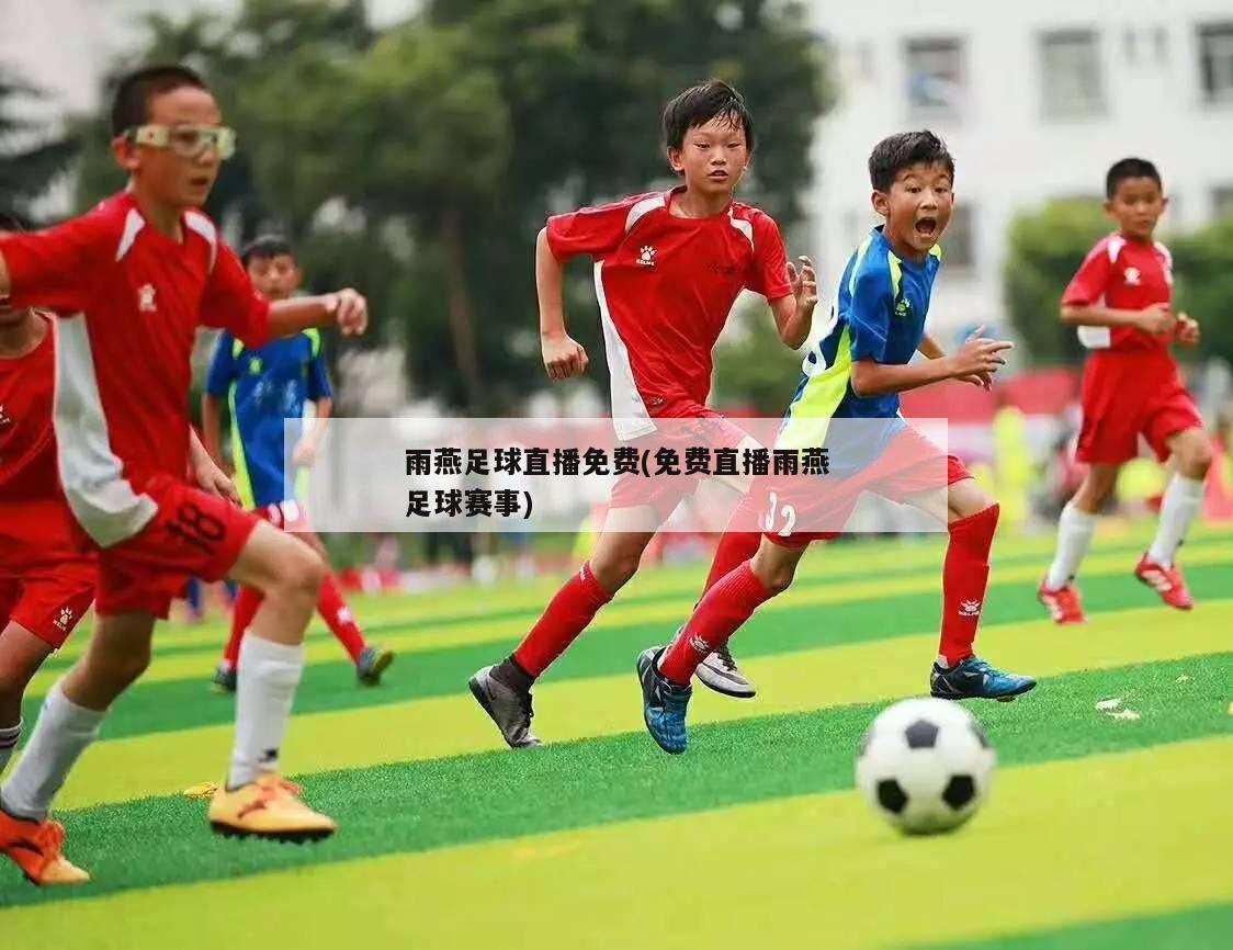 雨燕足球直播免费(免费直播雨燕足球赛事)