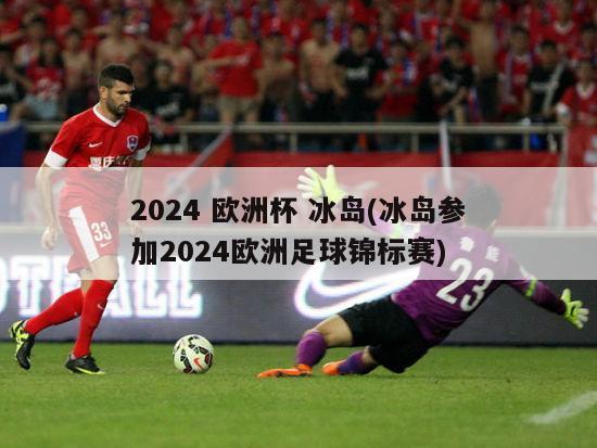 2024 欧洲杯 冰岛(冰岛参加2024欧洲足球锦标赛)