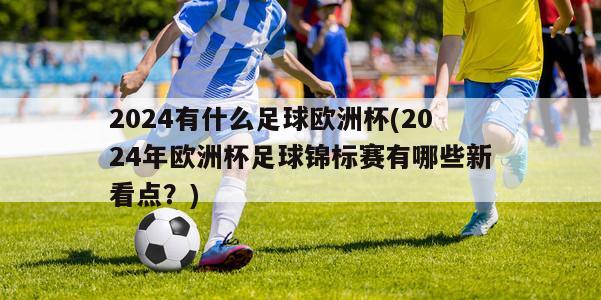 2024有什么足球欧洲杯(2024年欧洲杯足球锦标赛有哪些新看点？)