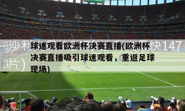 球迷观看欧洲杯决赛直播(欧洲杯决赛直播吸引球迷观看，重返足球现场)