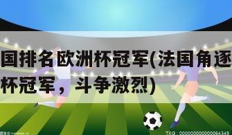 法国排名欧洲杯冠军(法国角逐欧洲杯冠军，斗争激烈)