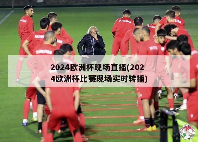 2024欧洲杯现场直播(2024欧洲杯比赛现场实时转播)