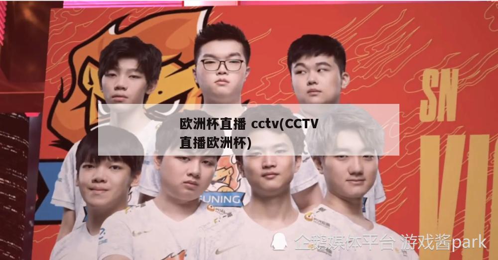 欧洲杯直播 cctv(CCTV直播欧洲杯)