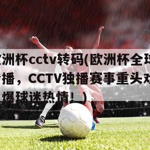 欧洲杯cctv转码(欧洲杯全球转播，CCTV独播赛事重头戏，引爆球迷热情！)