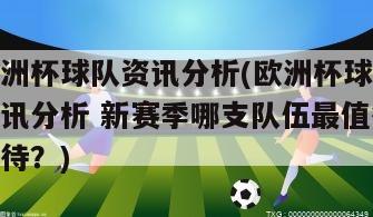 欧洲杯球队资讯分析(欧洲杯球队资讯分析 新赛季哪支队伍最值得期待？)