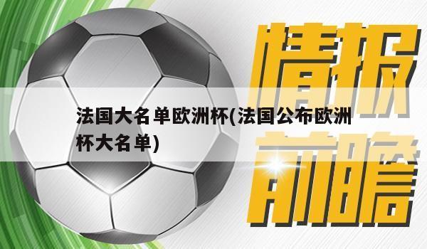 法国大名单欧洲杯(法国公布欧洲杯大名单)