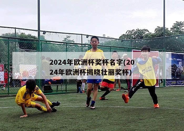 2024年欧洲杯奖杯名字(2024年欧洲杯揭晓壮丽奖杯)