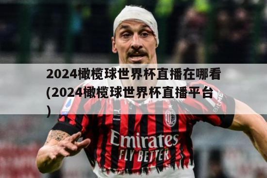 2024橄榄球世界杯直播在哪看(2024橄榄球世界杯直播平台)