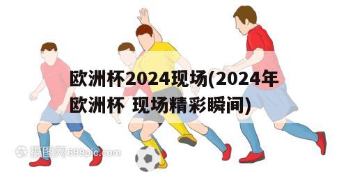 欧洲杯2024现场(2024年欧洲杯 现场精彩瞬间)