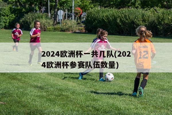 2024欧洲杯一共几队(2024欧洲杯参赛队伍数量)