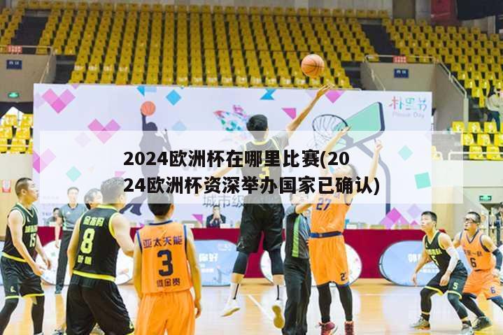 2024欧洲杯在哪里比赛(2024欧洲杯资深举办国家已确认)