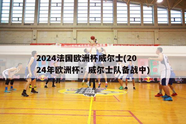 2024法国欧洲杯威尔士(2024年欧洲杯：威尔士队备战中)