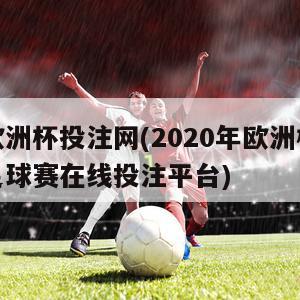 欧洲杯投注网(2020年欧洲杯足球赛在线投注平台)