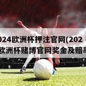 2024欧洲杯押注官网(2024欧洲杯赌博官网奖金及赔率)