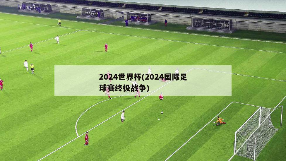 2024世界杯(2024国际足球赛终极战争)