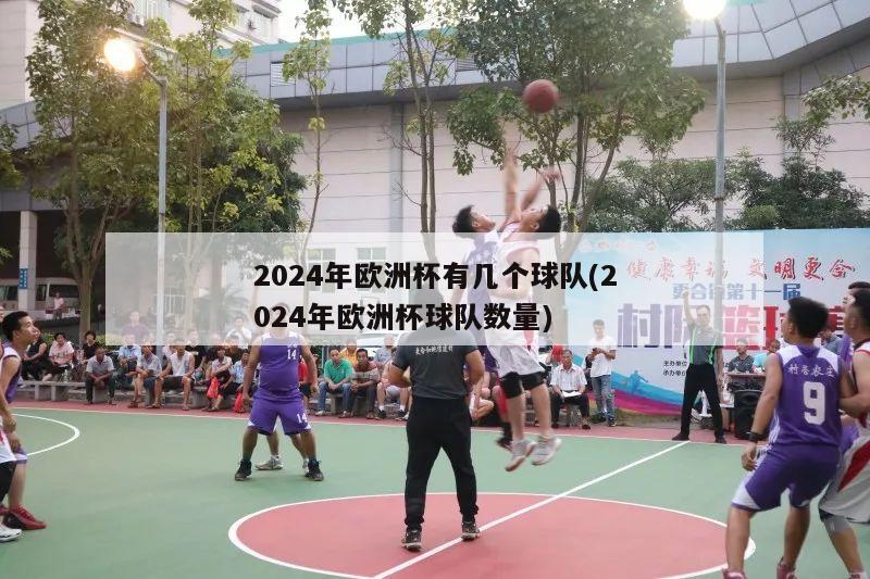 2024年欧洲杯有几个球队(2024年欧洲杯球队数量)