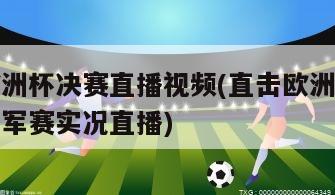 欧洲杯决赛直播视频(直击欧洲杯冠军赛实况直播)